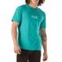 camiseta-vans-classic-easy-box-porcelain-green-108319-1